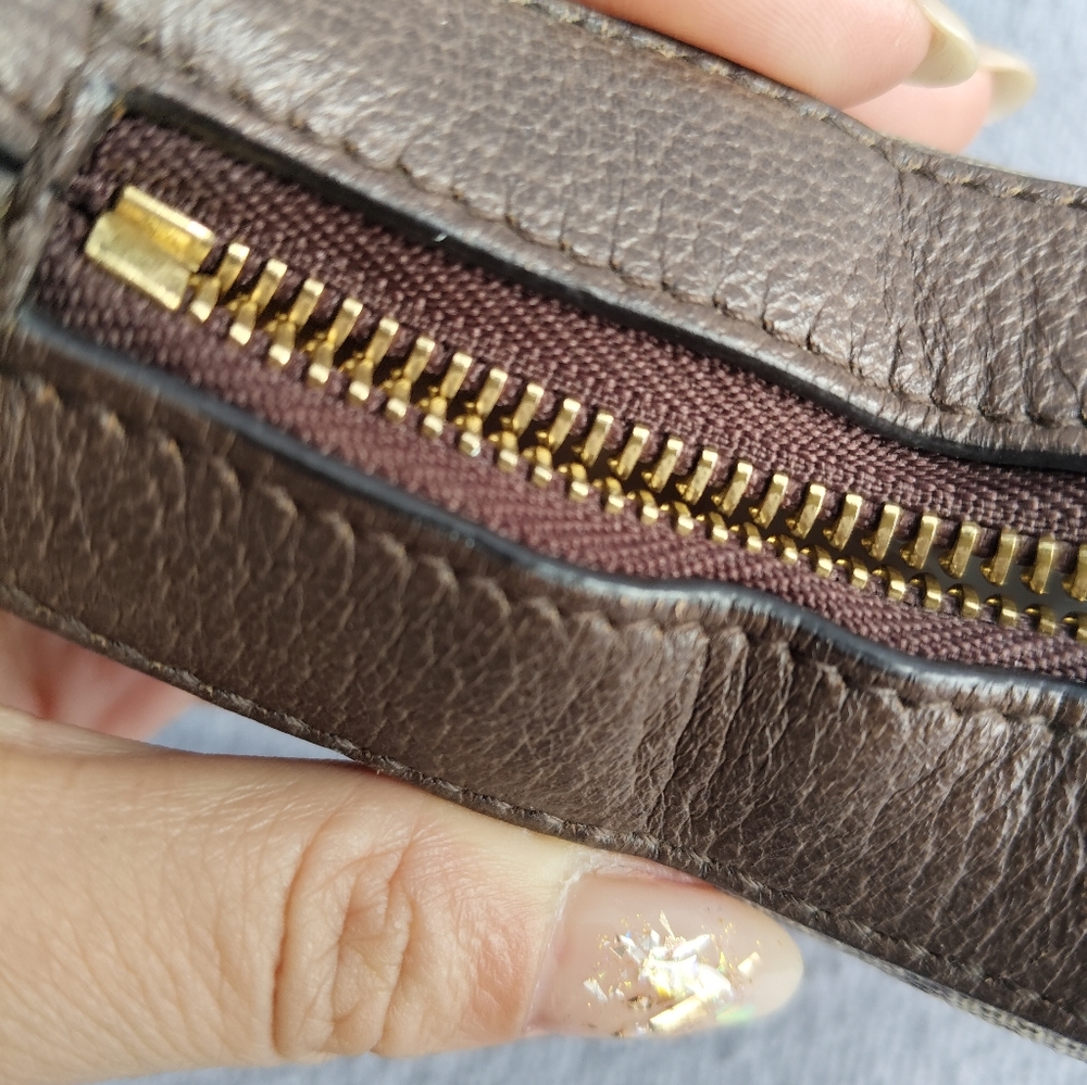 Gucci Brown GG Supreme Crescent Shoulder Bag with Gold Hardware - Picture 5 of 12